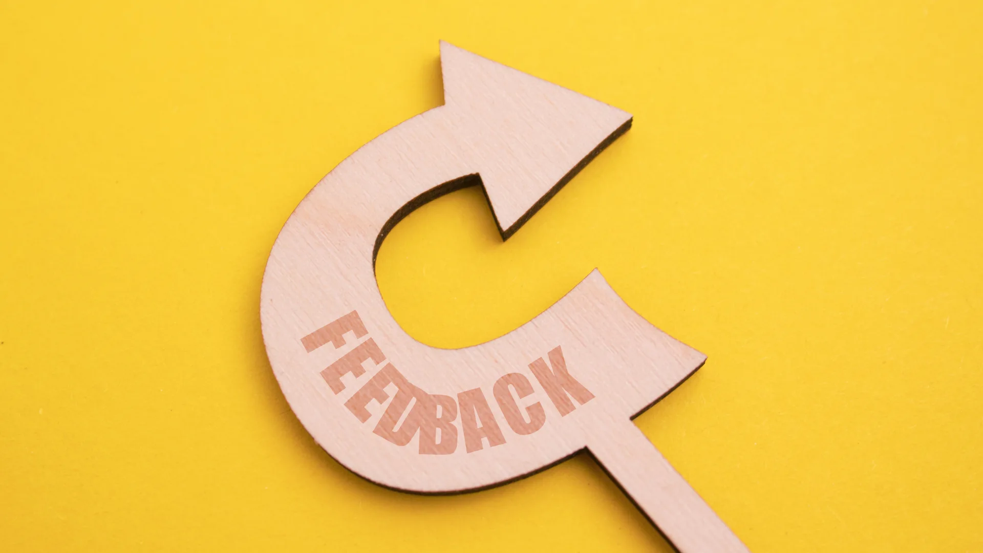 Feedback-und-Reflexion